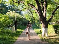 -斯多格书乡(北京大学畅春园店)
