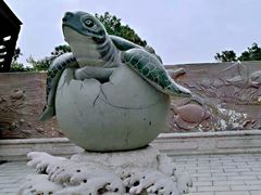 -广东惠东海龟国家级自然保护区