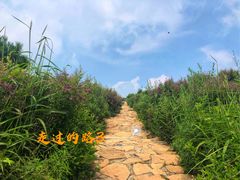 -阳台山自然风景区