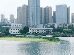 -武汉动物园