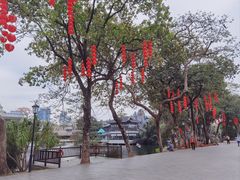 -荔湾湖公园