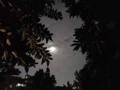-黄埔古港
