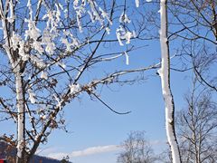 -鳌山滑雪度假区