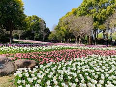 -上海鲜花港