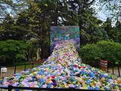 -上海共青森林公园