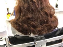 -SALON V