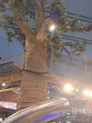 -卡通尼·Safari非洲探索乐园·生日会(金桥国际商业广场店)