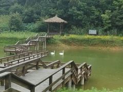 android_upload_pic-千岛湖龙川湾