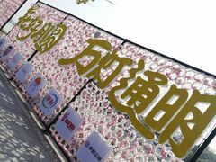 -长洲岛