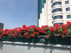 -汪保来(杭州解放路店)