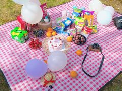 -铁山坪森林公园