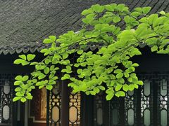 -汇龙潭