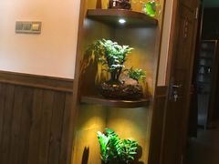 -一叶一世界•素食餐厅(环球中心店)