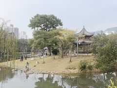 -四海公园(南山区)