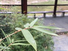 -堤角公园
