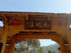 -天台国家森林公园水上茶乡九鹏溪