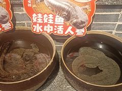 -印象鲵宴·张家界地标美食名片(溪布街店)