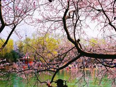 -大兴滨河森林公园