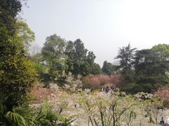 -南山植物园