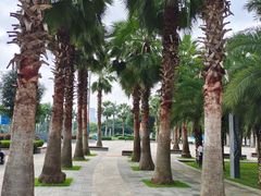 -南宁南湖公园