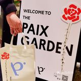 paix的浪漫| 心中有爱，每天都是情人节💕 