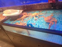 -忆江南·临江鱼馆