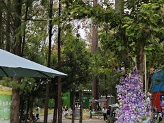 -青龙山国家森林公园