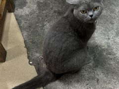 -富哥大排档(防城港企沙镇店)