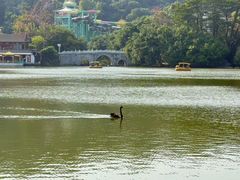 -珠海圆明新园