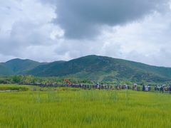 -泸沽湖国家级风景名胜区走婚桥