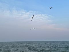 -东堤公园