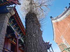 -五台山风景名胜区