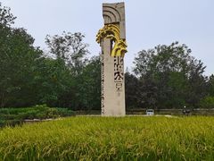 -北坞公园