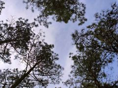 -安吉竹博园