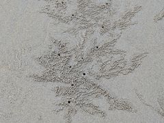 -万尾金滩