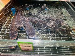 -老阿爸鲜鱼土菜(昆山花桥店)