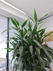 -悟空祛痘·诺奖技术专业店