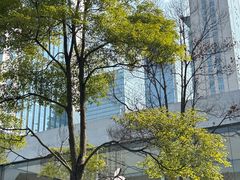 -Apple零售店(成都太古里店)