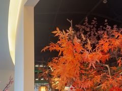 -荷塘秋月·本帮江浙菜(国权路店)