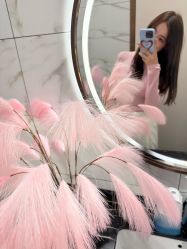 -Amo la Diva造型