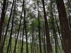 -硗碛藏寨·神木垒景区