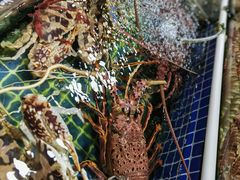 -板桥海鲜广场(文明东店)