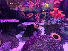 -沈阳海洋探索中心