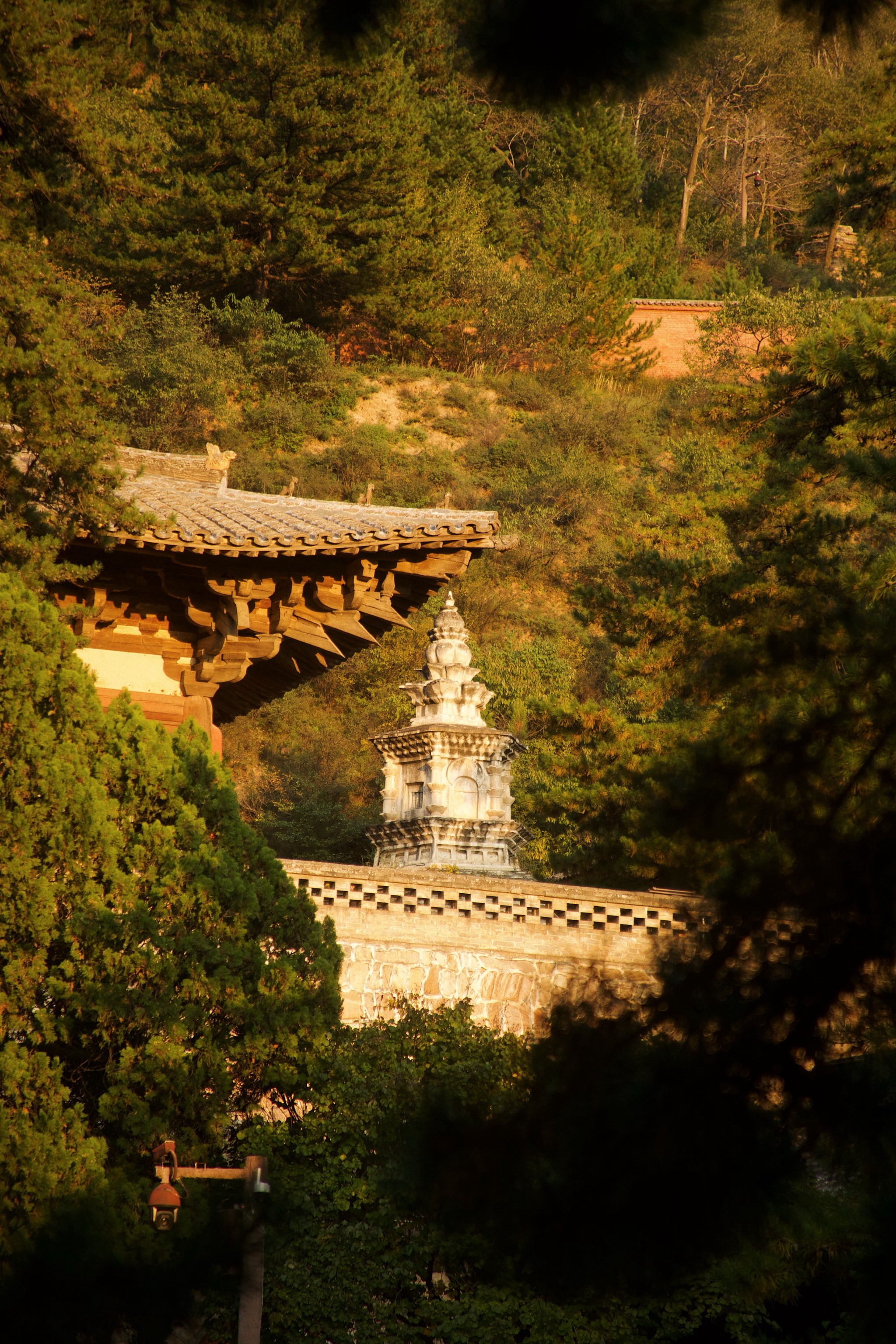 永年佛光禅寺图片