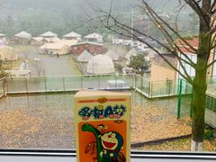 -重庆南山海昌汤都