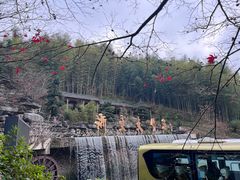 -宁波浙东大竹海景区