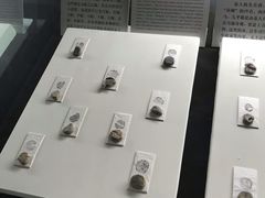 -古陶文明博物馆