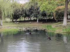 -江南大学(蠡湖校区)