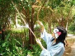 -三亚亚龙湾天域度假酒店