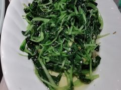豌豆尖-新沸腾鱼乡(世贸天阶店)